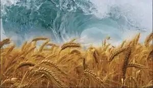 Counting of the Omer