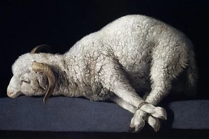 Passover Lamb